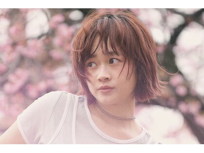 ディッセンバー 神宮前(December)の写真