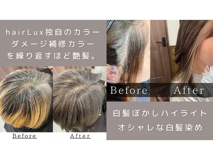 ルクス(Lux)の写真
