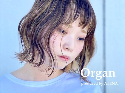 オルガン(Organ)の写真