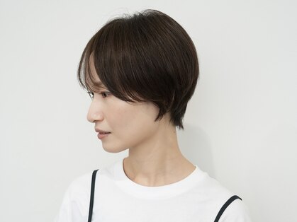 ログ(LOG)の写真