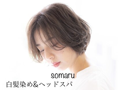 ソマル(somaru)の写真