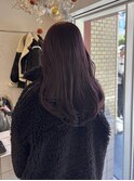 ラベンダーカラー