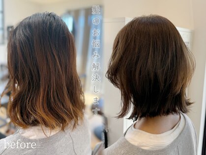 リノ(Lino)の写真