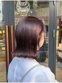 【モエ】バイオレットカラー