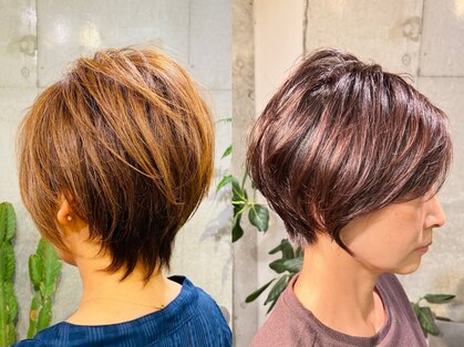 デュード(Dude)の写真