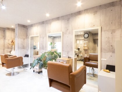 トイニィ(Toi-2.)の写真