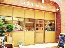 ルードゥス ヘアーデザイン(Ludus hair design)