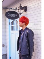 カメリア (camellia)&nbsp;チェリーマッシュ