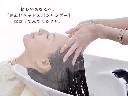 リビング(Living)の写真