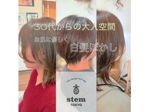 ステム トウキョウ(stem TOKYO)