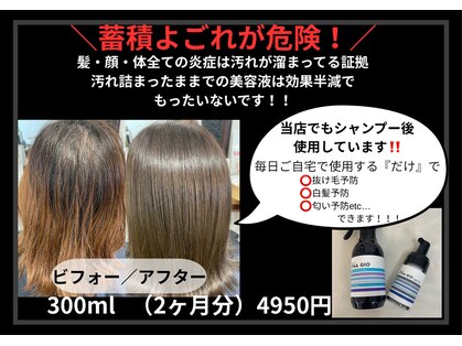 フェリックス(FELIX)の写真