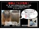 フェリックス(FELIX)の写真