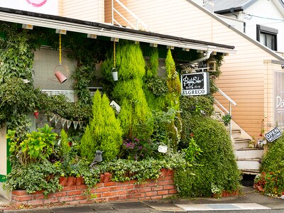 緑いっぱいの入り口と、小さな看板が目印☆