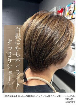 アイリス(IRIS) 白髪ぼかしハイライトショート