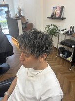 セントラル(CENTRAL)&nbsp;メッシュ