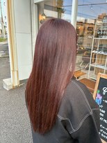 クオリア(Quaria)&nbsp;red brown