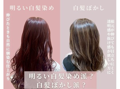 ステラ 久我店(stella)の写真