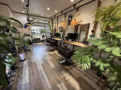 オーダー(Order)の写真