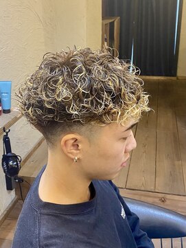 ミオ ベガ(Mio'' VEGA) スペインプードル