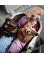 カットハウススペース 人形町&nbsp;我が家の愛犬達です。　40代　白髪　　人形町　水天宮前　日本橋