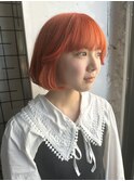 アプリコット韓国ボブ