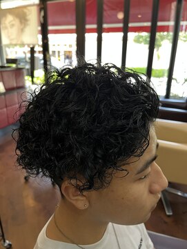 シャンプーボーイアネックス(SHAMPOO BOY Annex) プードルパーマ