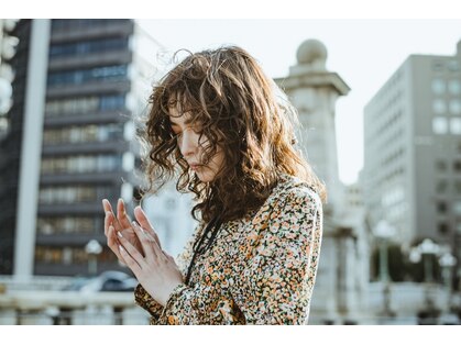 アイビー(IVY)の写真