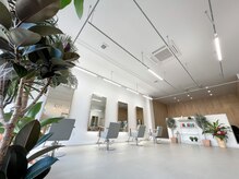 イタリアの最高級ブランドCassinaのデザイナーがmmのために家具をデザインしました。