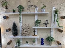 カミザイク 万里(kamizaiku BANRI)の雰囲気（店内グリーンで装飾。至る所にハンドメイドのアイテムが！）