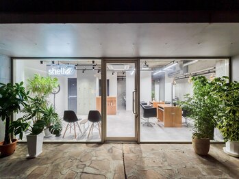 shell吉祥寺 白髪ぼかし/ハイライト/髪質改善/縮毛矯正/ショート【シェル】