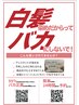 【1日1名様限定】カット＋ヘナカラー＋電子トリートメント　¥15400→¥13200