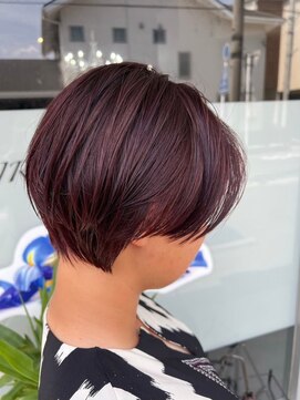 ネリネ(Nerine) バイオレットショート