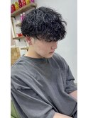 波巻きプードル