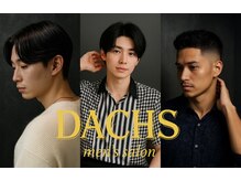 ダックス(DACHS)