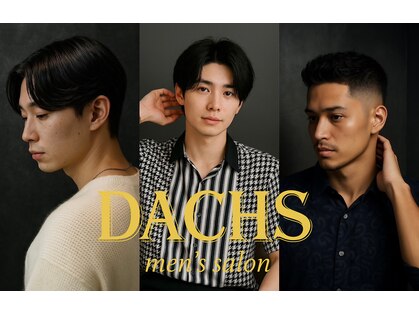 ダックス(DACHS)の写真