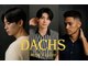ダックス(DACHS)の写真