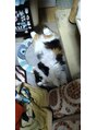 ステラ 坂戸にっさい店(STELLA)&nbsp;ゆきちゃん