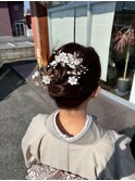 レディーススタイル21