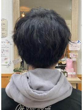 猫と三日月 定番マッシュスタイル