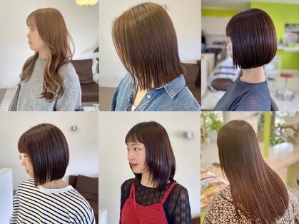 トライスター(TriStar)の写真