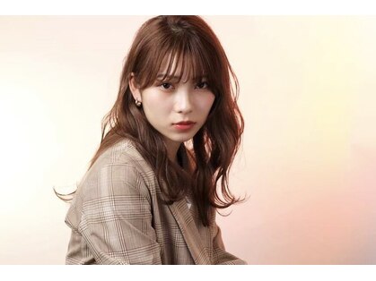 ミステローマ(MISTEROMA)の写真