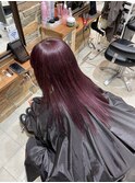 ピンクラベンダー(六反)