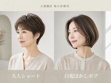 五感 鷹匠
