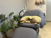 タイニー(Tiny)の雰囲気（フルフラットシャンプー台）