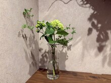 キノトミ(kinotomi)の雰囲気(季節ごとに表情を変える生花のディスプレイ。)