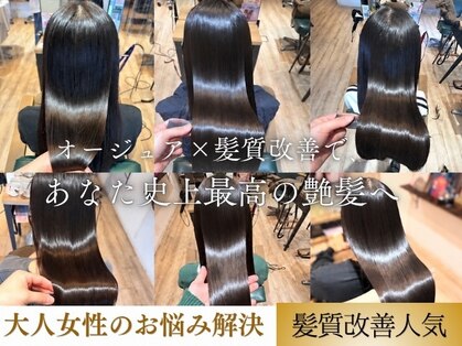 サラ(sarah)の写真