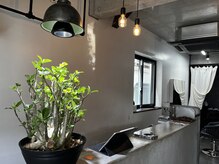 エディ(HEDI)の雰囲気（店内は植物が好きで、鉢植えや盆栽を置いてます。）