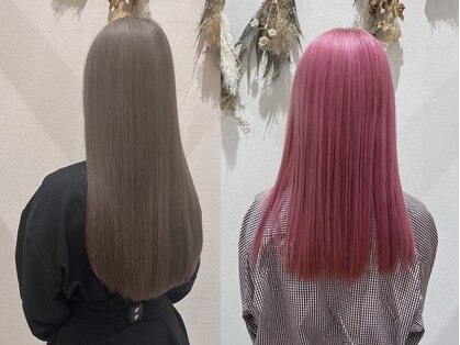 ビリム(bilim)の写真