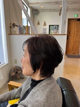 エシレ(esille.) マダムショート