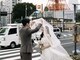ボウフ(BOHE)の写真